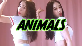 Video 4