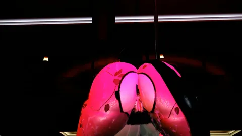 Chifuyu Orimura PMV 