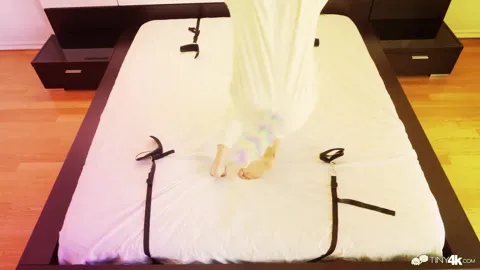 Windows down PMV