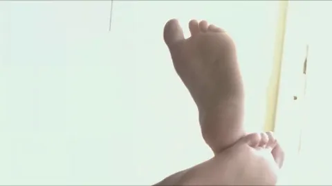Sakura HMV