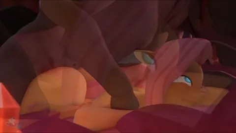 Video 4
