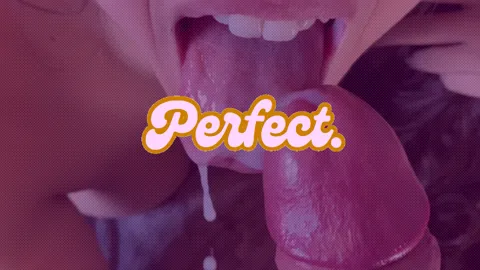 Perfect - PMV