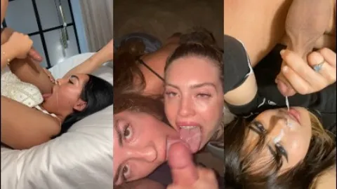 TRANS SURPRISE