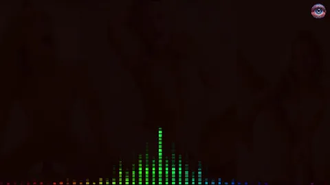 Video 4
