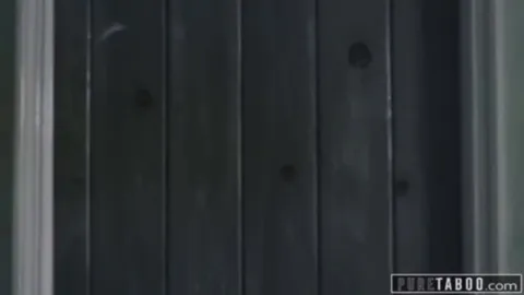 The Room