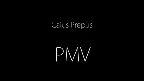 Love Tsunami PMV