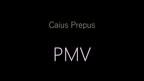 Magic Woman PMV