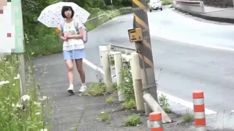 Japanese Invasion 2