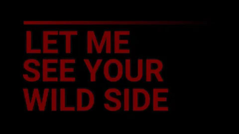 WILD SIDE