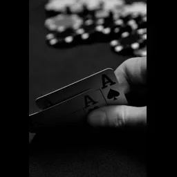 flushPMV