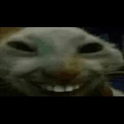 xddppx
