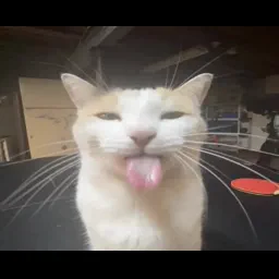 hmvreposter
