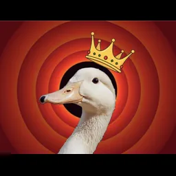 KingDuck