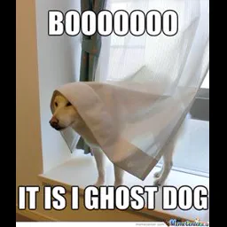 Ghost27672