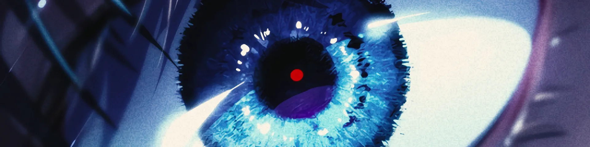 Profile banner