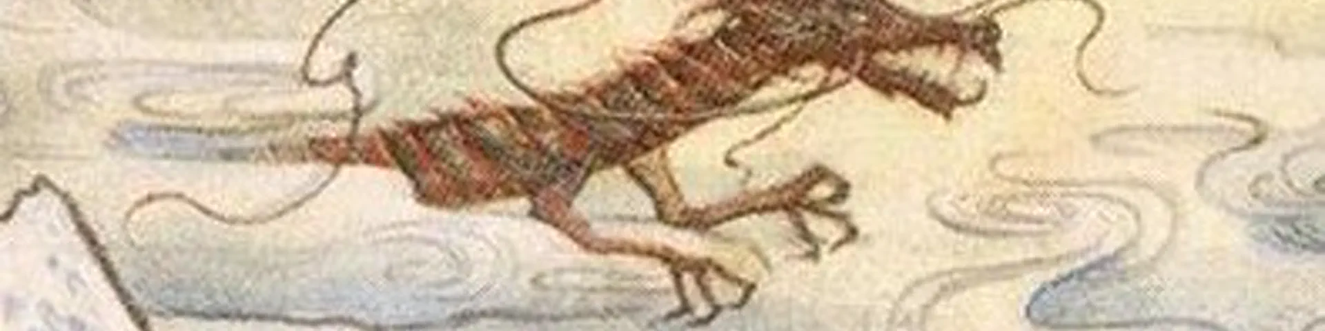 Profile banner