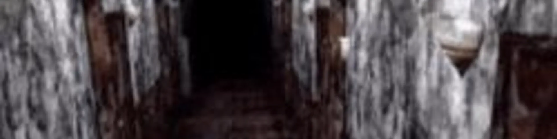 Profile banner