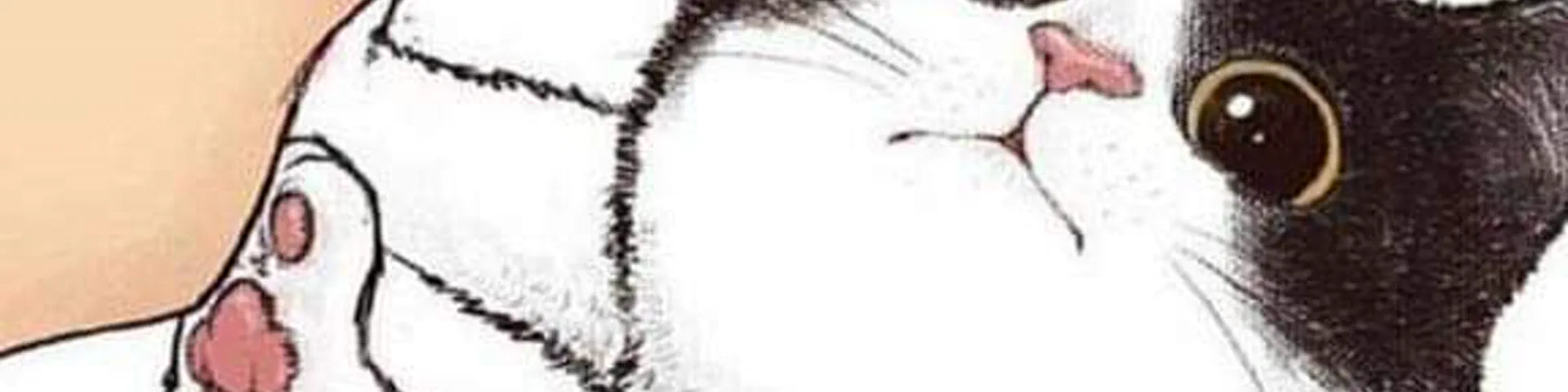Profile banner