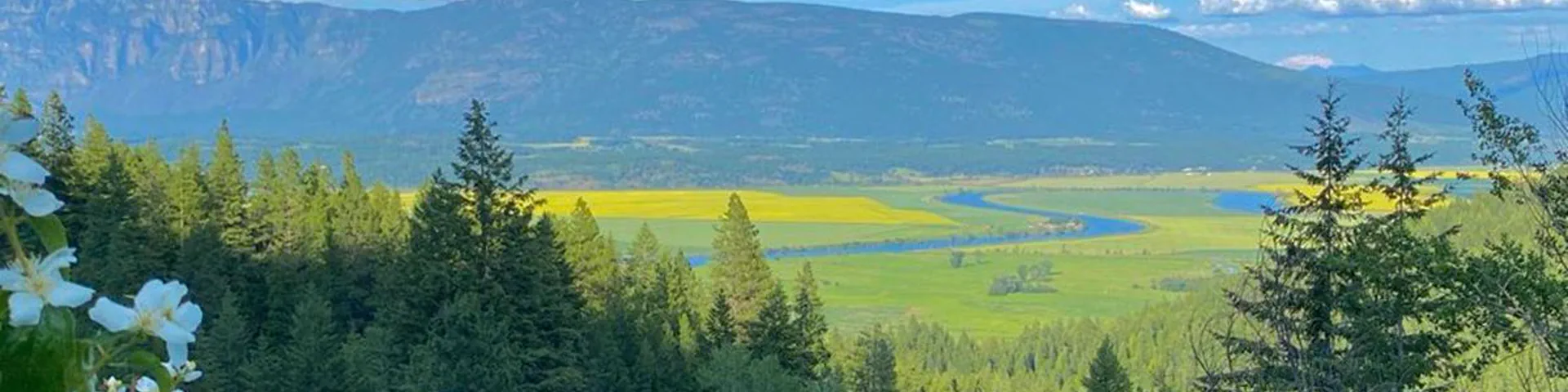 Profile banner