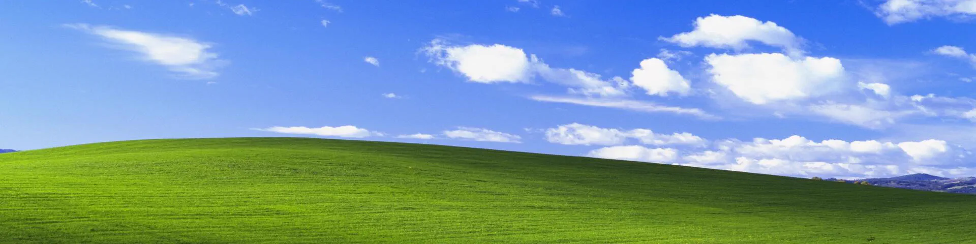 Profile banner