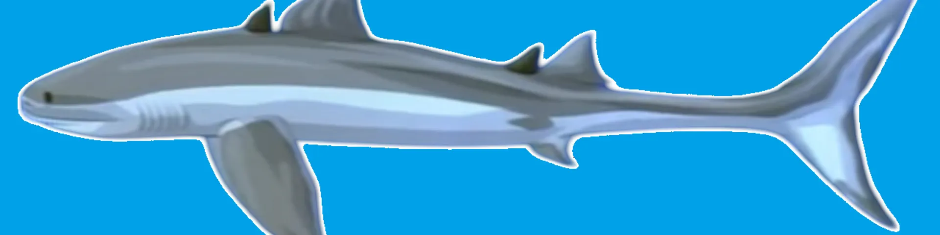 Profile banner