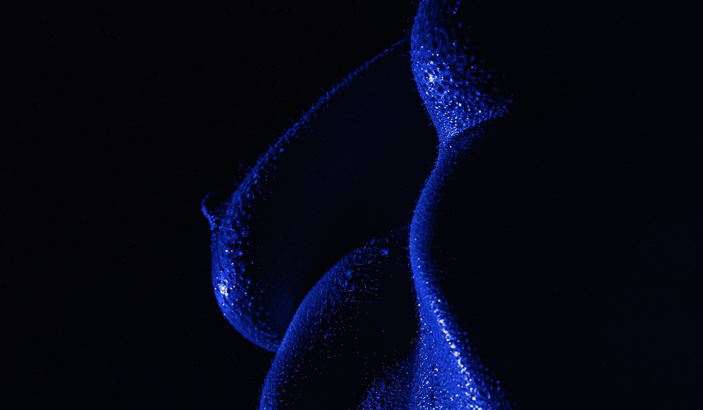 Profile banner