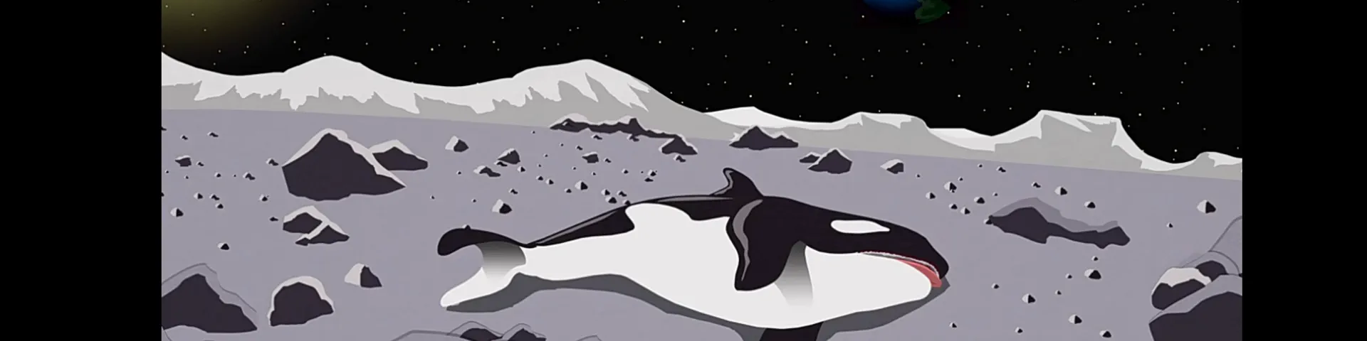 Profile banner