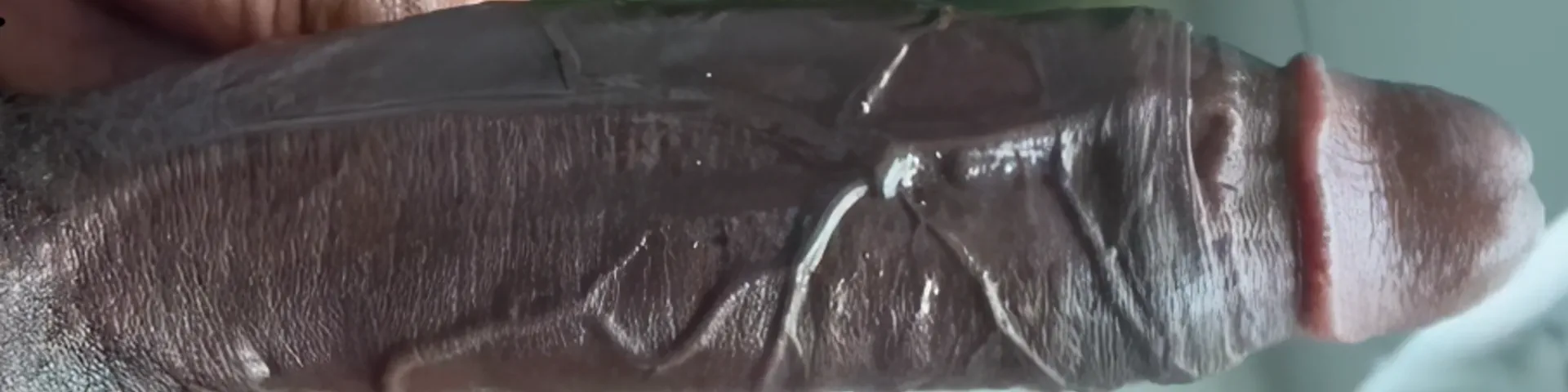 Profile banner