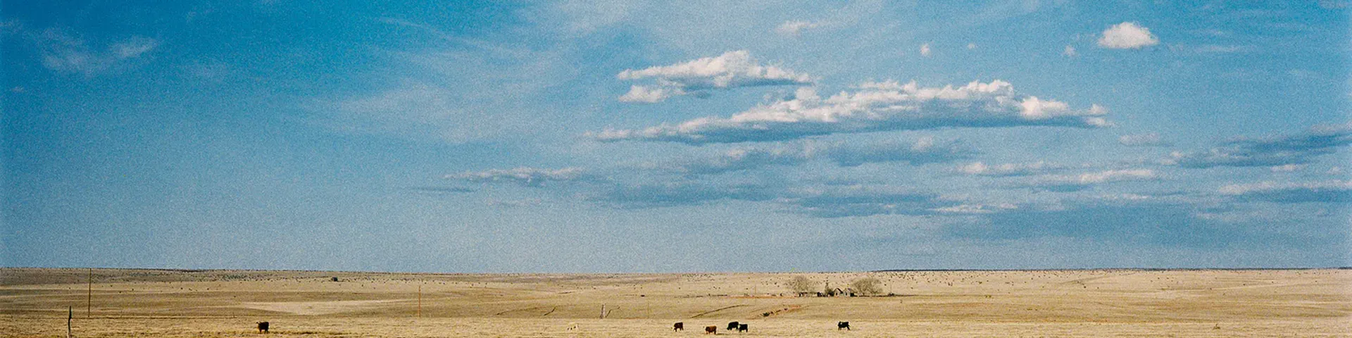 Profile banner