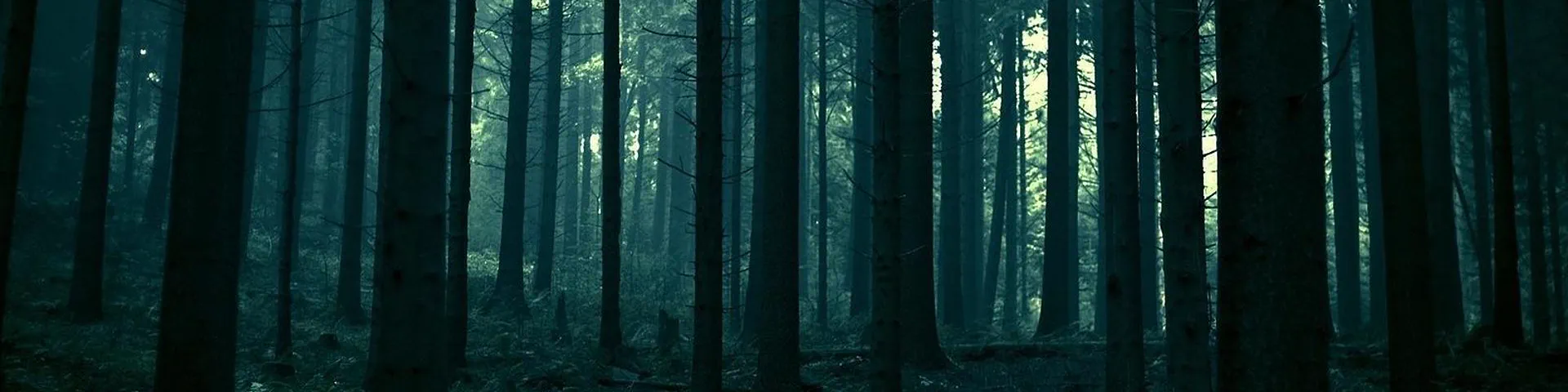 Profile banner