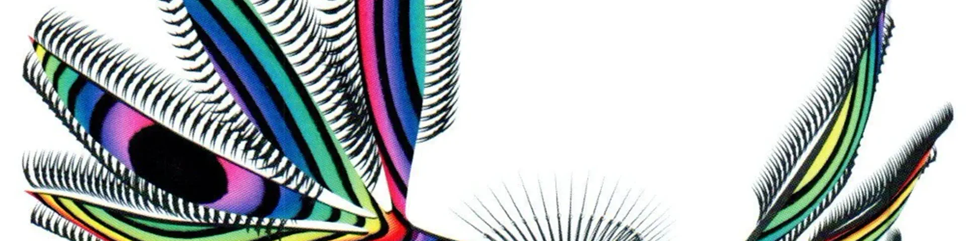 Profile banner