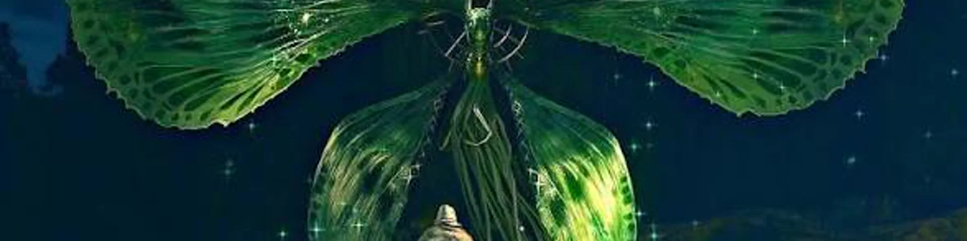 Profile banner