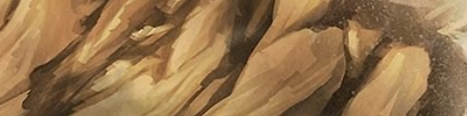 Profile banner