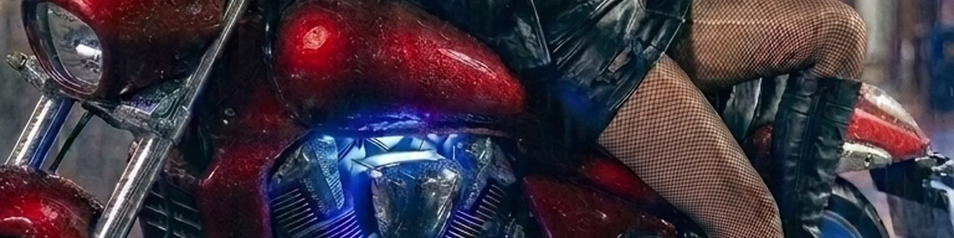 Profile banner