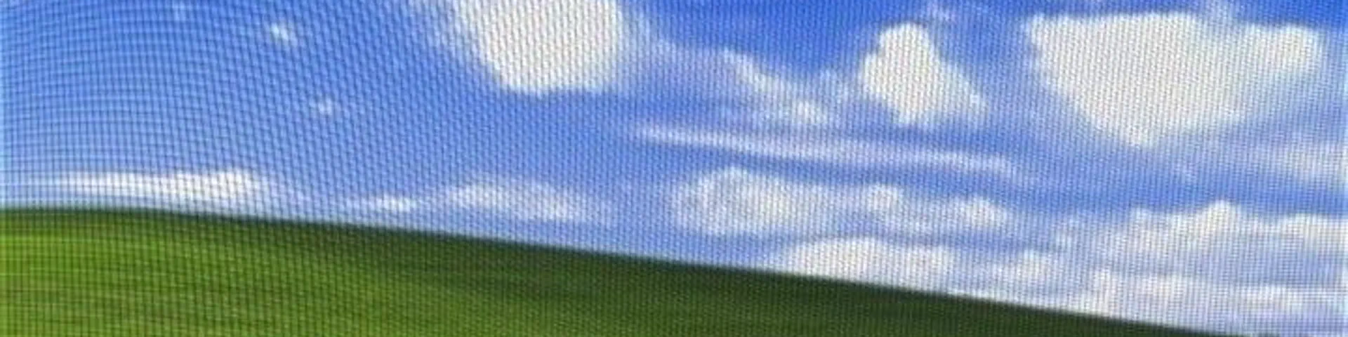 Profile banner