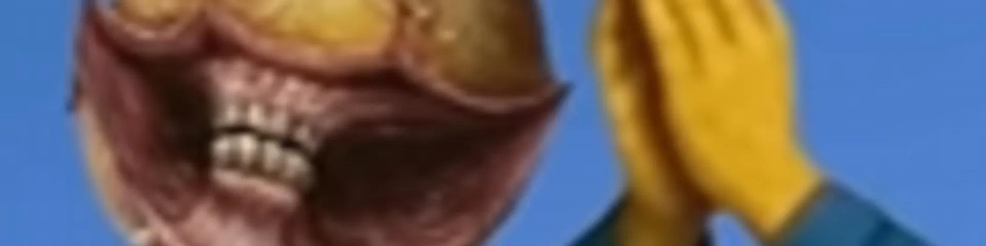 Profile banner