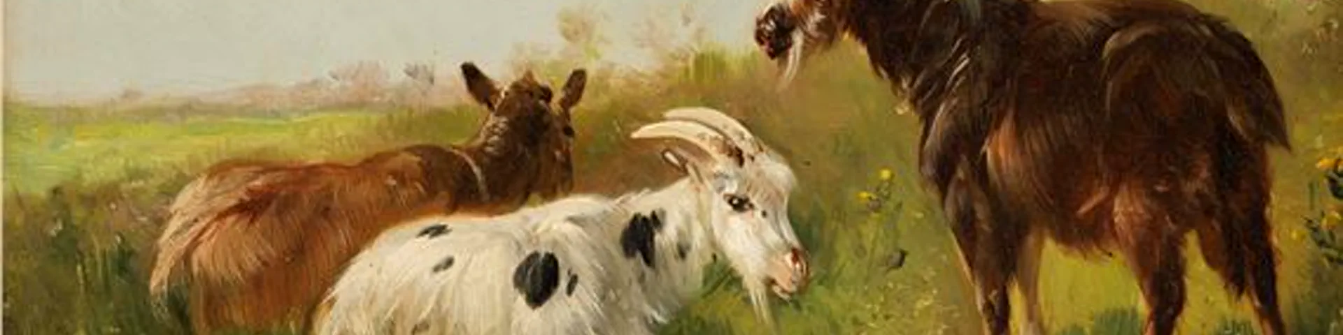 Profile banner