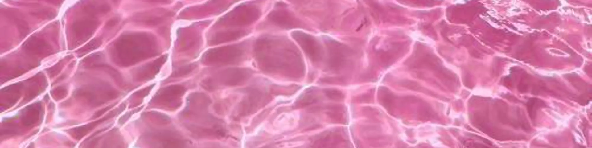 Profile banner