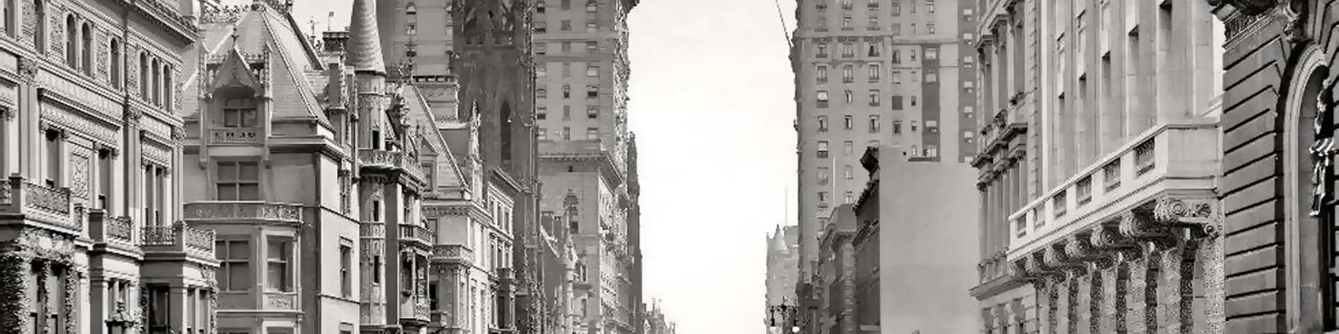 Profile banner