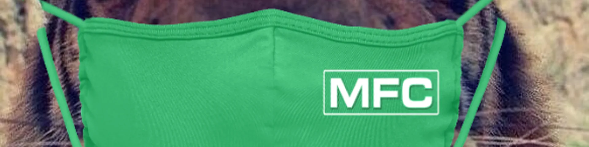 Profile banner
