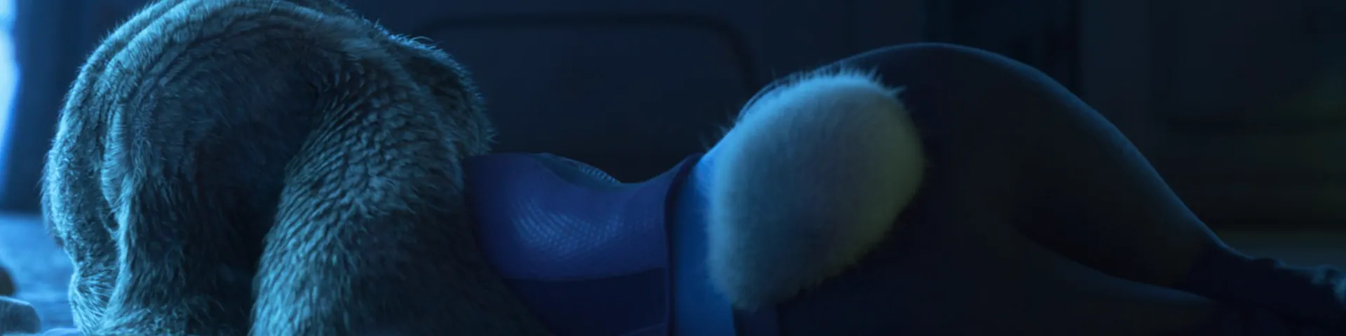 Profile banner