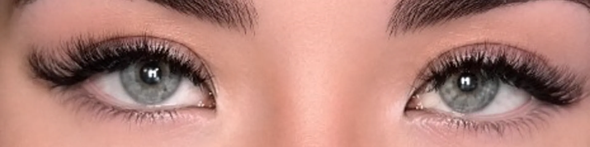 Profile banner