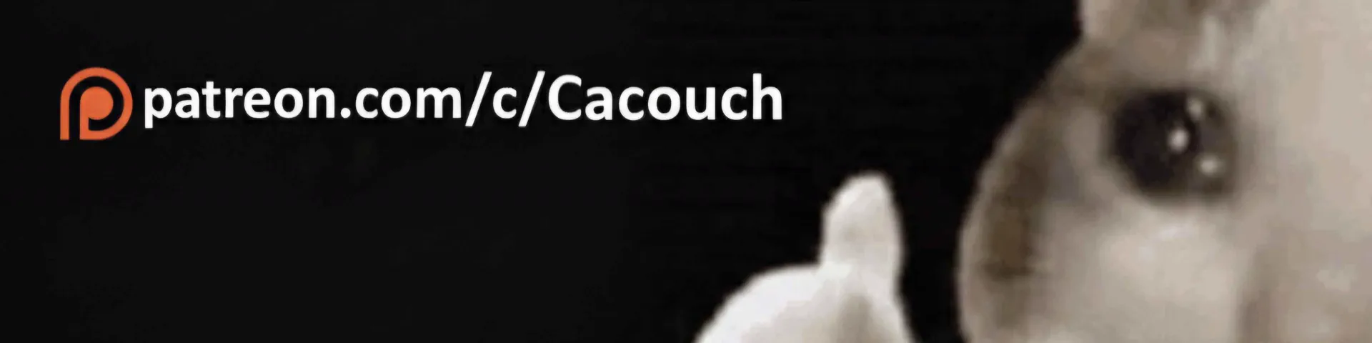 Profile banner