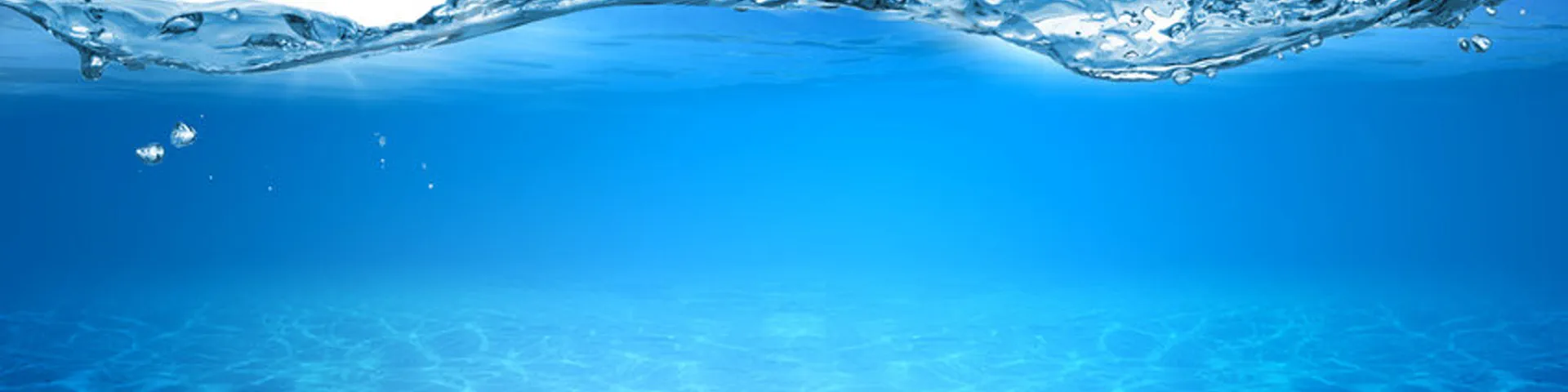 Profile banner