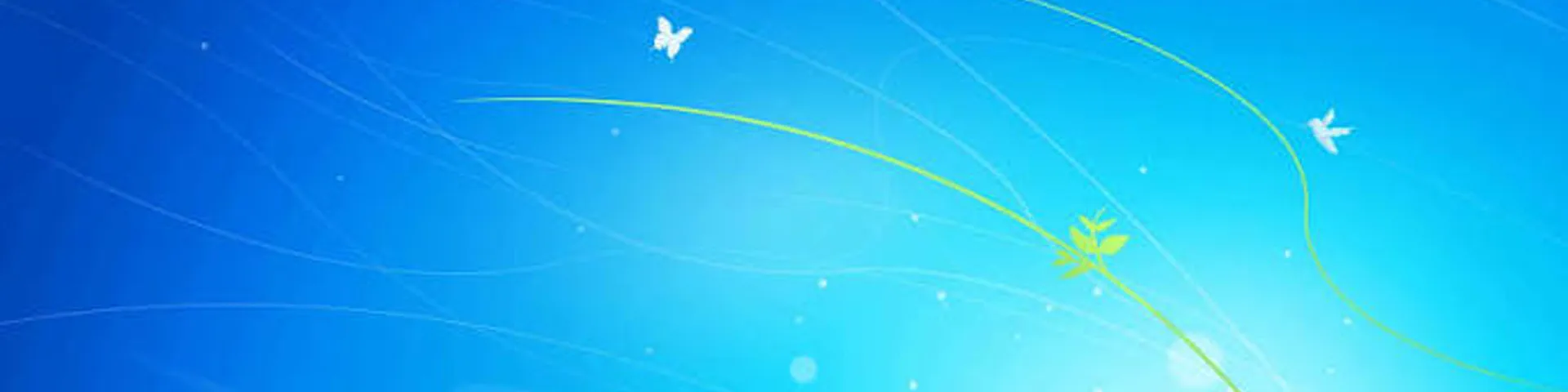 Profile banner