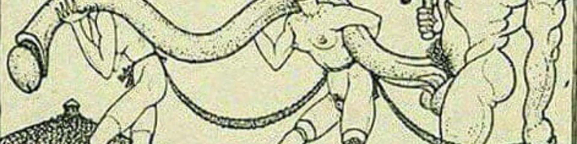 Profile banner