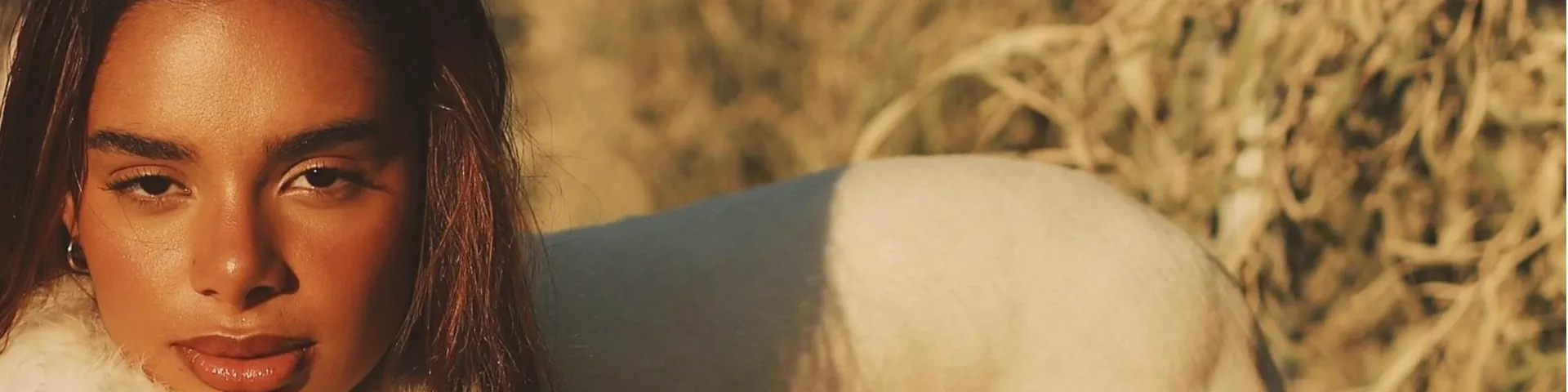 Profile banner