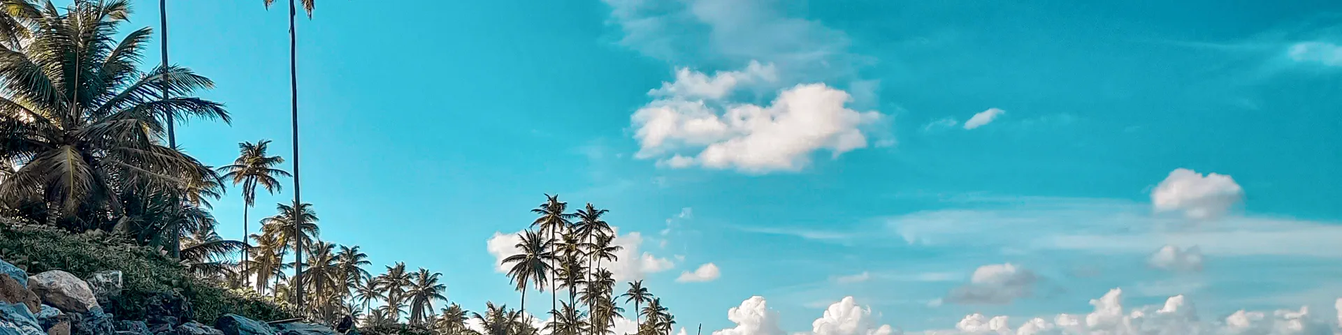 Profile banner