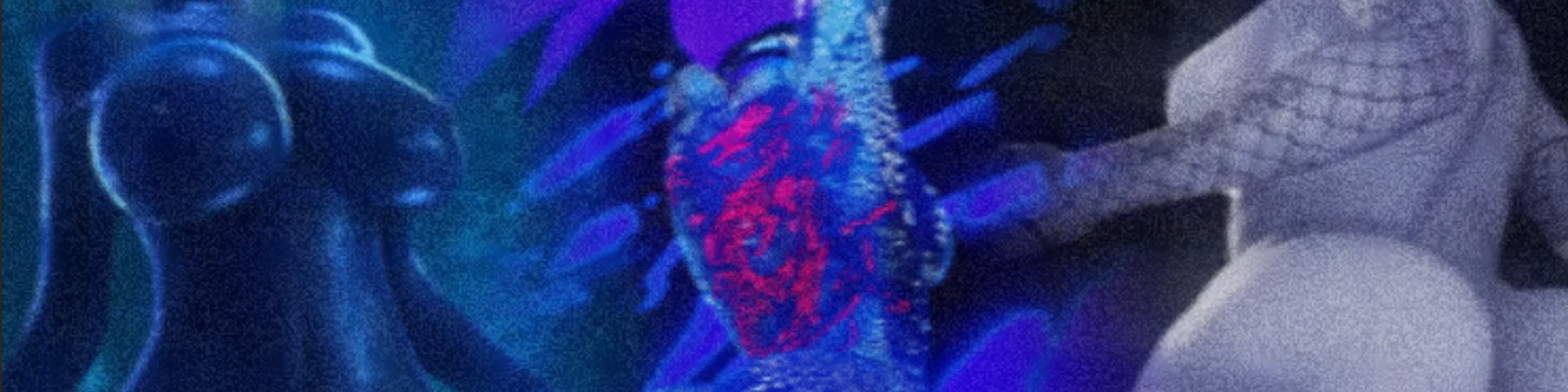 Profile banner