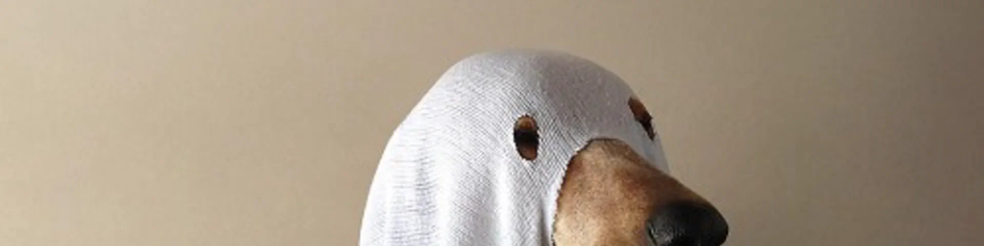 Profile banner
